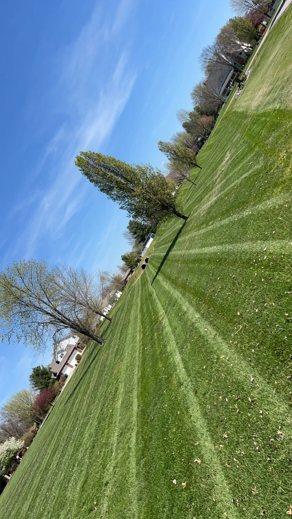 Healthy, freshly cut green grass