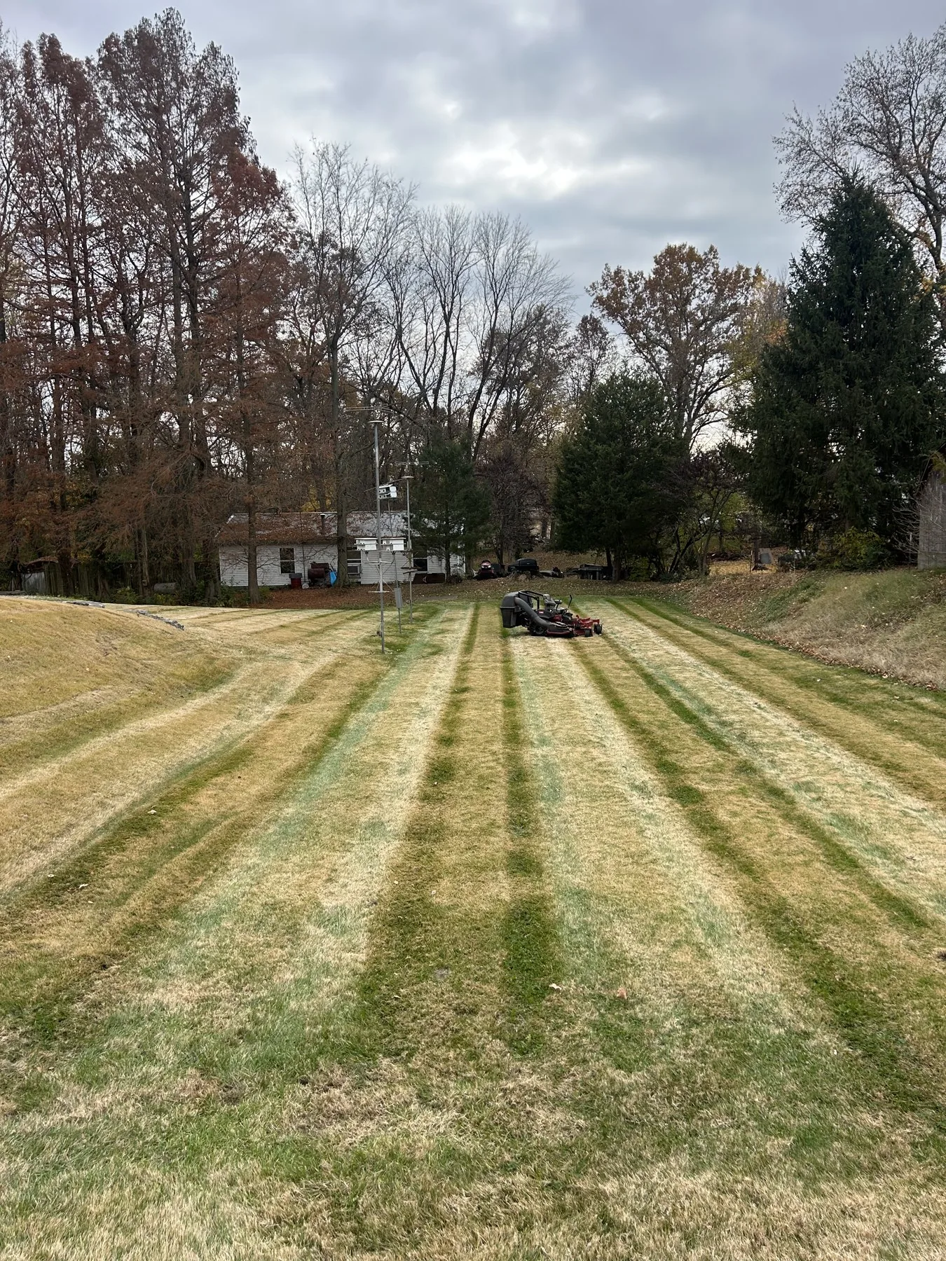Freshly mowed property with clean mowing lines