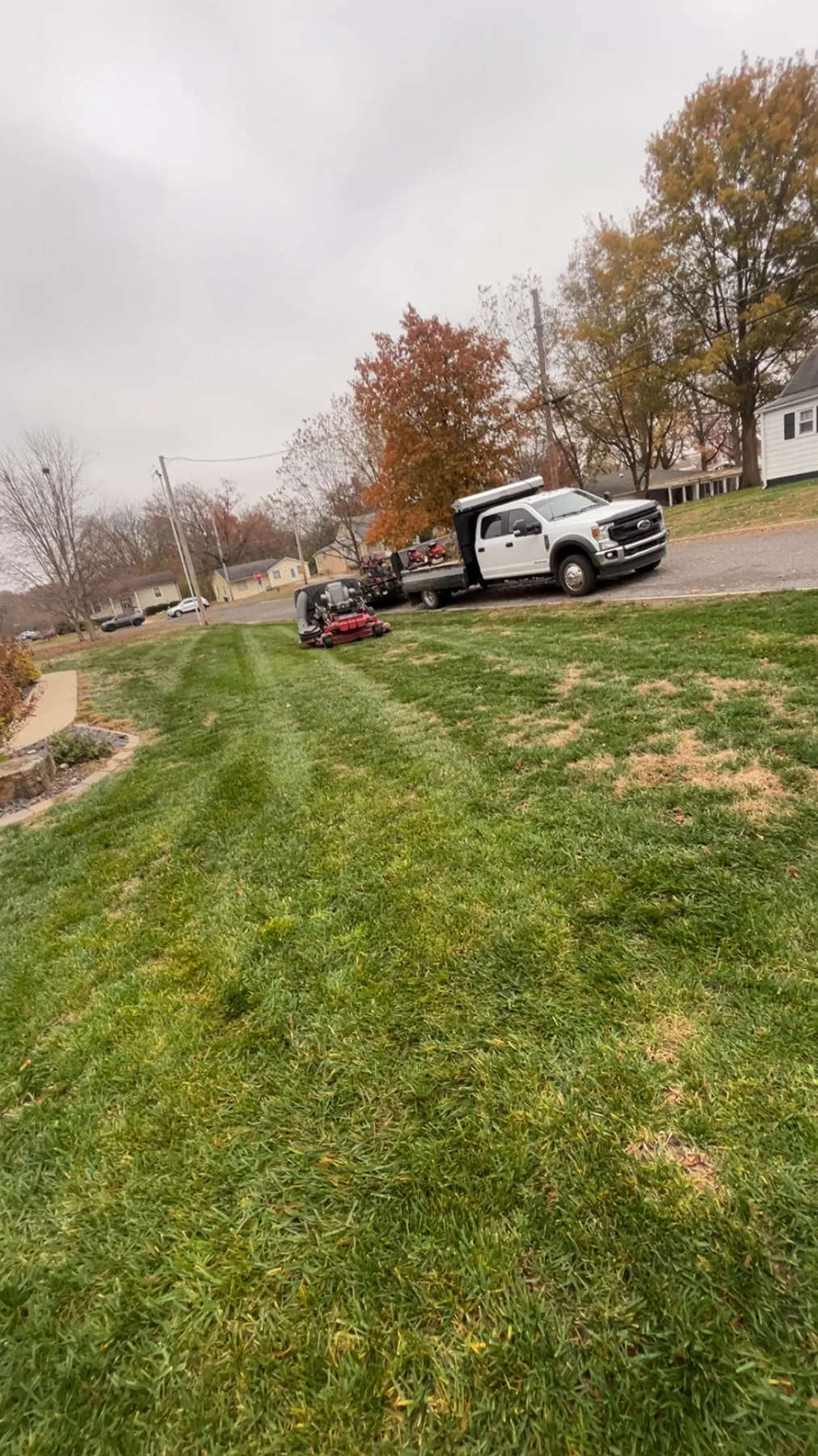 Green, well-kept residential lawn
